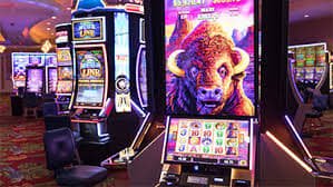 pkpk5 Myanmar Online Betting Platform ကျွန်ုပ်တို့အကြောင်း ဘောလုံး Live Casino ကစားသူများ